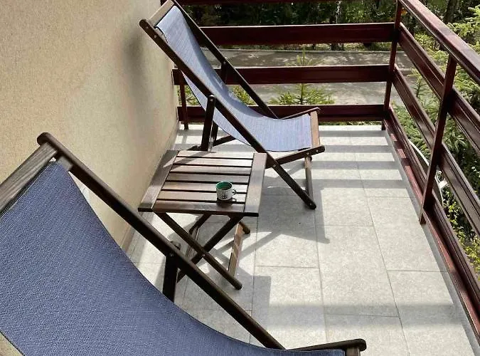 Yellow & Златибор