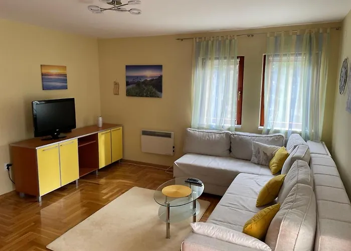 Yellow & * Златибор