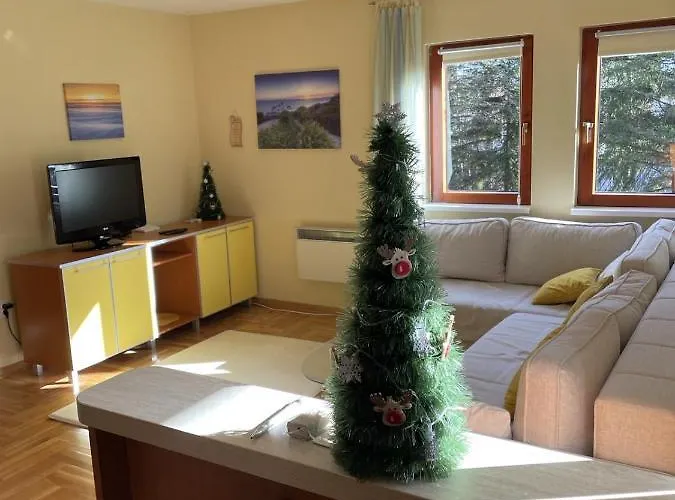 Yellow & Златибор